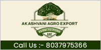 Akashvani Agro Export