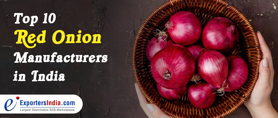 Top 10 Red Onion Manufacturers in India