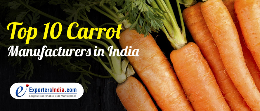 Top 10 Carrot Manufacturers in India