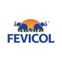 Fevicol Adhesive & Glue