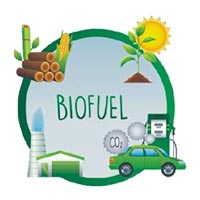 Namberdar Biofuels Logo