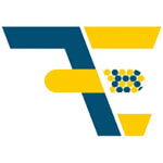 Flying Eagle Enterprises Logo