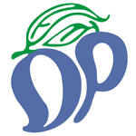 Desai Products Logo
