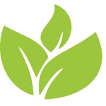 go green international Logo