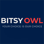 Bitsy Owl Logo