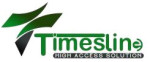 Timesline (High Access Solutions) Logo