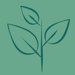Amara Naturals Logo