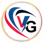 Vidyut Gold Logo
