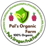 Pals Dragon Fruit Farm