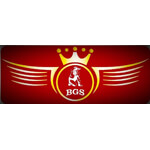 BGS Smart Videography Logo