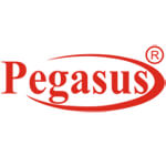 Pegasus Turnkey Solution (OPC) Pvt. Ltd Logo