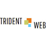 Trident Web Infoservices Logo