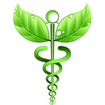 Holistic Herbal Logo