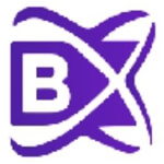 blockchainx Logo