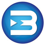 BLUE MARK TECHSOLUTION Logo