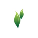 Savaliya Agri Commodity Export Pvt. Ltd. Logo