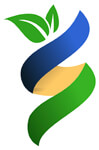 SINSA INTERNATIONAL Logo