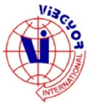Vibgyor international