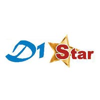 D1 STAR CONSULTANT Logo