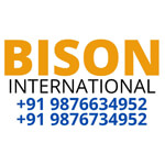 Bison International Logo