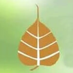 Bio Resurge Life Coaching Health Services Logo
