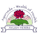 Ketav Ayush Health Paradise Logo