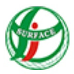 Surface International