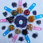 Vasundra Exalt Biotech