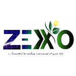 Zexxo Semiconductors Private Limited