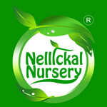 Nellickal nursery Logo