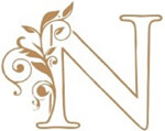 Nik Enterprise Logo