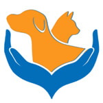 Bluemoon Overseas Logo