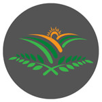Rajviz Private Limited Logo