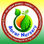 Abrar Nursery Logo