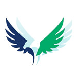 Radical vulture Logo