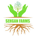 Sehgan Farms Logo