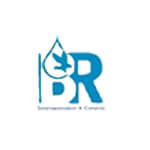 BR Instrumentation & Controls Logo