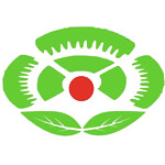 SAW SHELLAC Logo