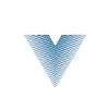 V.V.E CHEMICALS Logo
