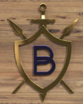 Bhati and company Logo
