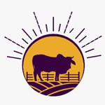 Navaneetam Organic Farms LLP Logo