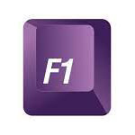 F1 info solution and services pvt ltd