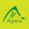 Apex International Logo