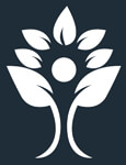 Vexana lifestyle Logo