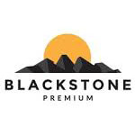 Black natural Stone's Logo