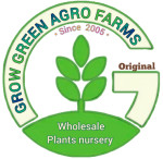 Ms GrowGreenAgroFarms