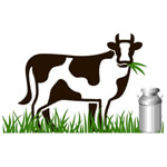 Salasar Dairy Farms