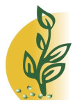 Biocarve Seeds Logo