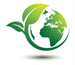 Eco Flora Logo