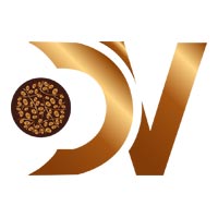 Divine Vibes Logo